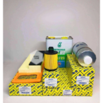 OPAR Fiat Punto 1.3 Mjt Euro 5 Filtre Seti Selenia 5W-30 Motor Yağı Snmz93