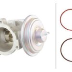 EGR Valfi BMW M47 M57 E87 E90 E92 E93 E60 E65 X3 E83 X5 E53 E70 HELLA 6NU010171-701